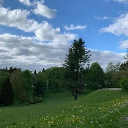 Spacious Near The Area Braunlage