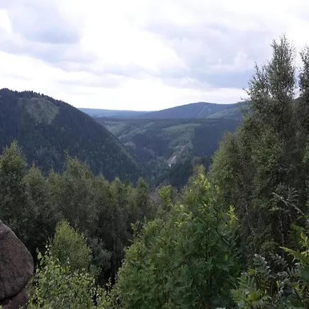 Dom wakacyjny Spacious Near The Area Braunlage